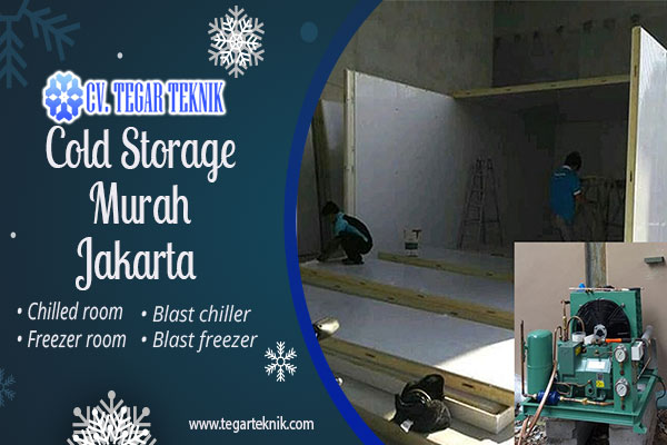 cold storage murah jakarta